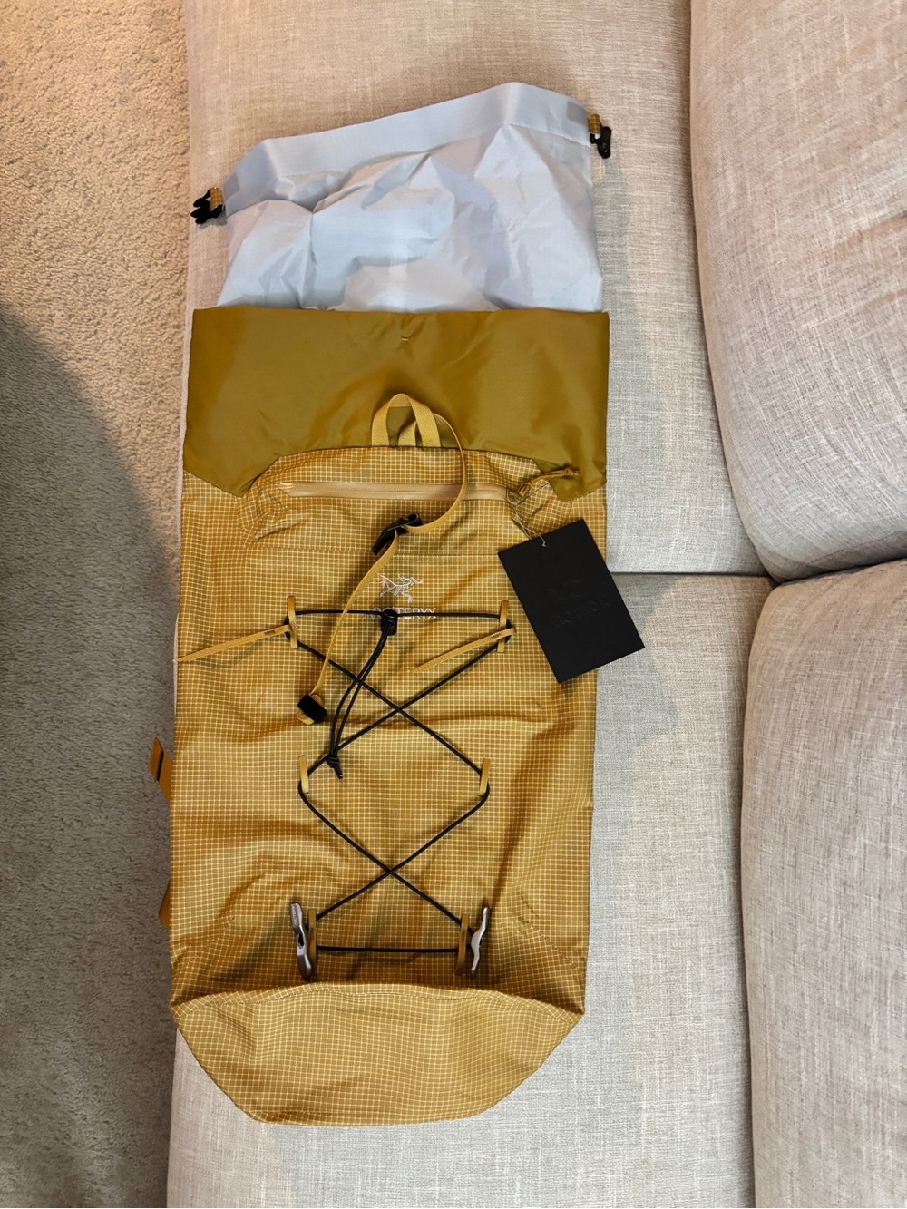Arc'teryx Alpha FL 20 Backpack